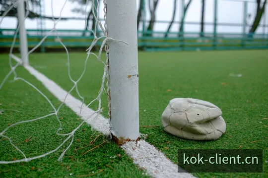 KOK超清多视角赛事直播观赛视窗